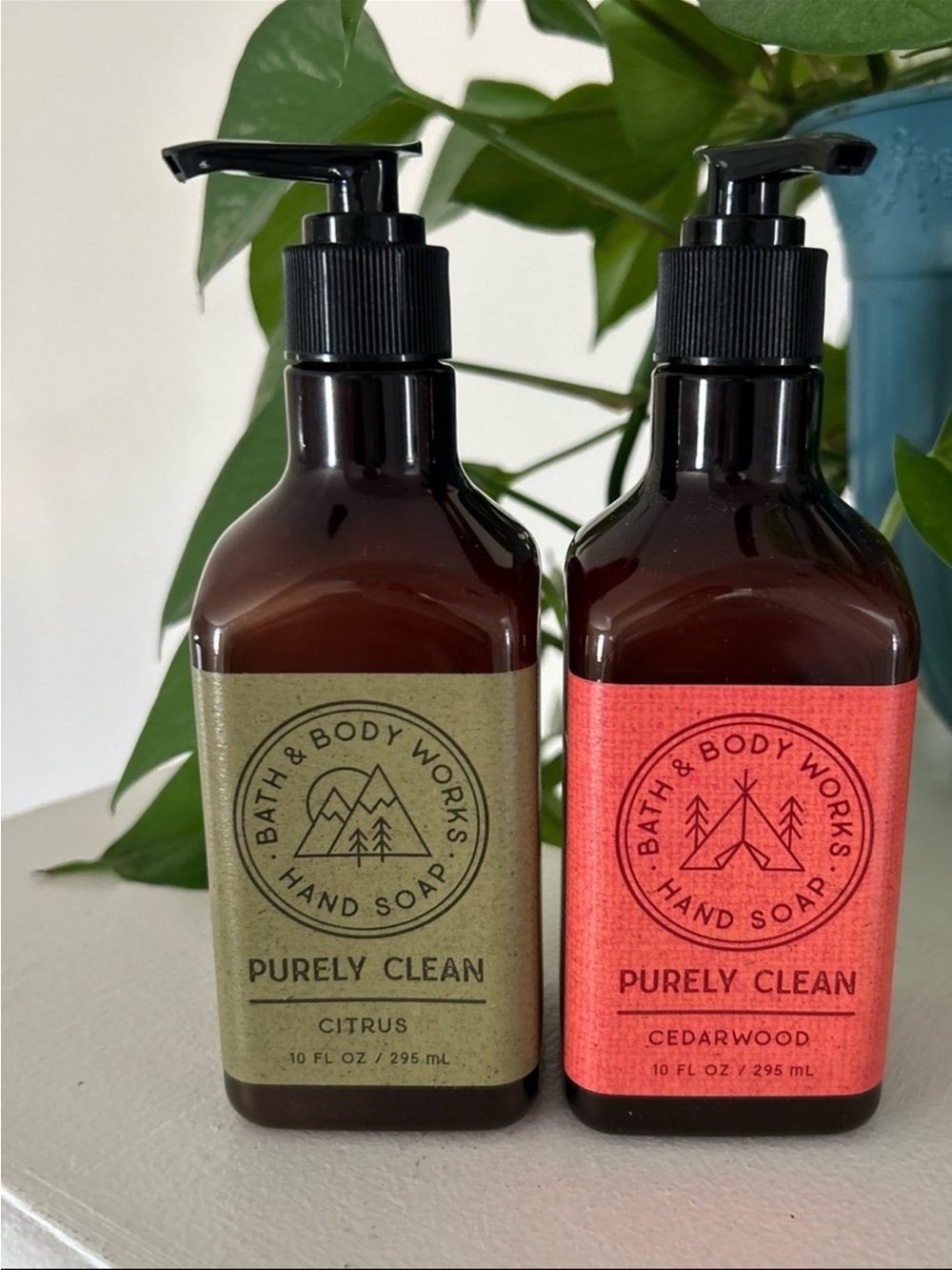 RARE PURELY CLEAN HAND SOAP SET (2)
Bath & Body Works